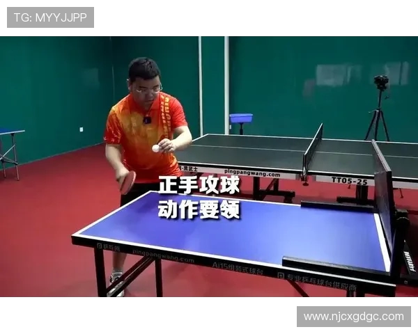 从零基础到高手之路乒乓球力量训练全方位指南 从零基础到高手之路乒乓球力量训练全方位指南