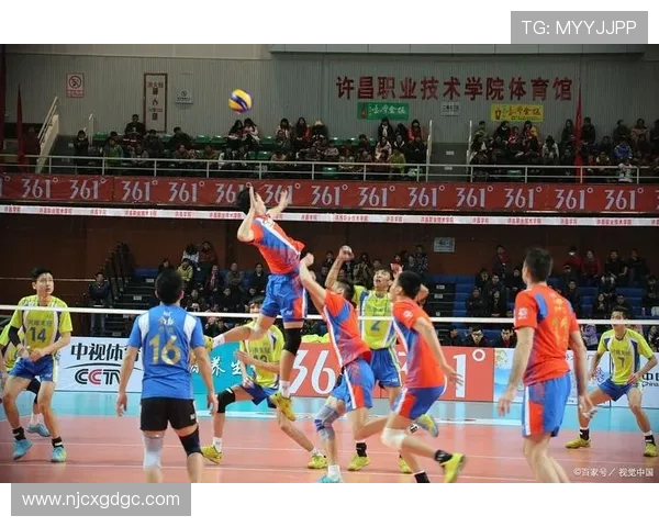 南京排球队的默契配合与战术探讨聚焦排球的精彩瞬间与团队精神