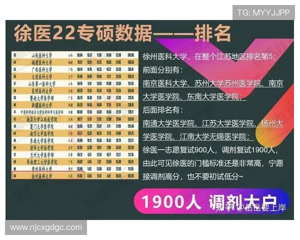 南京网球队实力分析与表现评估及未来发展潜力探讨