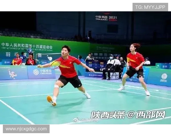 对话羽毛球名将杨强回顾辉煌生涯与未来展望