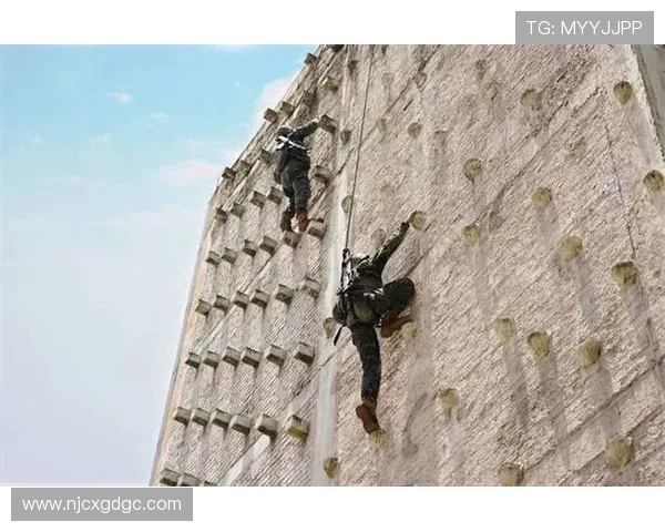 杭州攀岩队勇创佳绩攀岩耐力排名再创新高引发关注