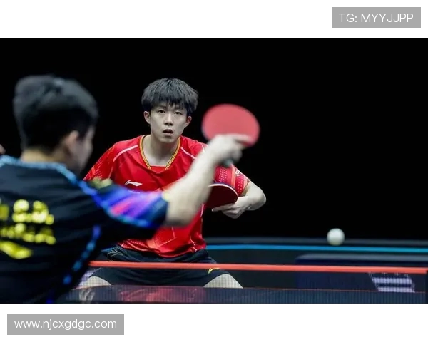 深入分析北京乒乓球队区域防守战术的特点与应用策略