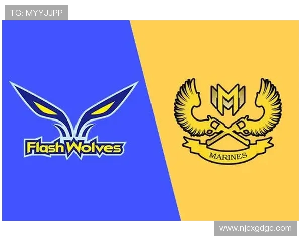 布雷达与海尔蒙特精彩对决直播全程回顾与分析