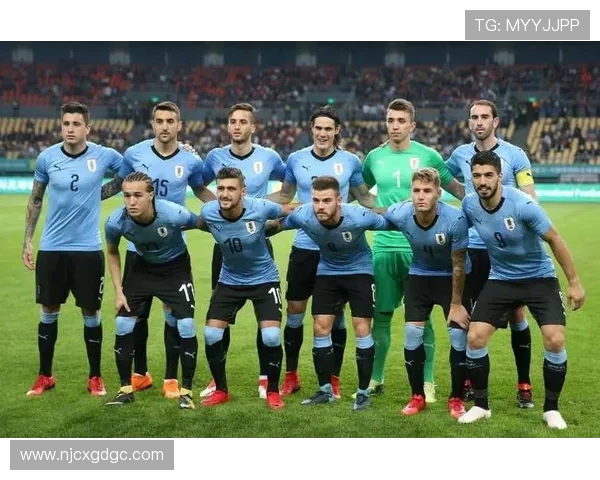 阿根廷与巴拉圭比赛前瞻及胜负预测分析详解