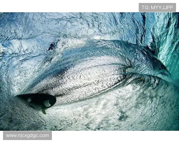 杭州极限运动队在极限运动联赛中的速度表现分析与点评 杭州极限运动队在极限运动联赛中的速度表现分析与点评