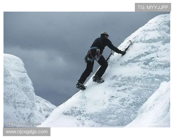 重庆极限运动队如何通过防守革新提升竞技水平与团队协作能力 重庆极限运动队如何通过防守革新提升竞技水平与团队协作能力
