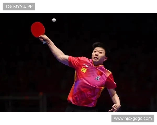 杭州乒乓球队技术分析与发展探讨聚焦乒乓球竞技新趋势