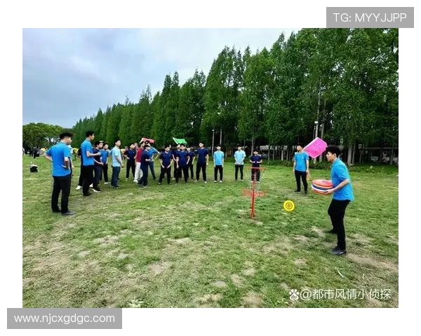 杭州飞盘队团队协作表现的数据分析与提升策略探讨